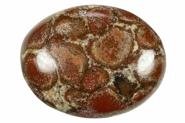 Polished King Cobra Orbicular Jasper Pocket Stones - Photo 1